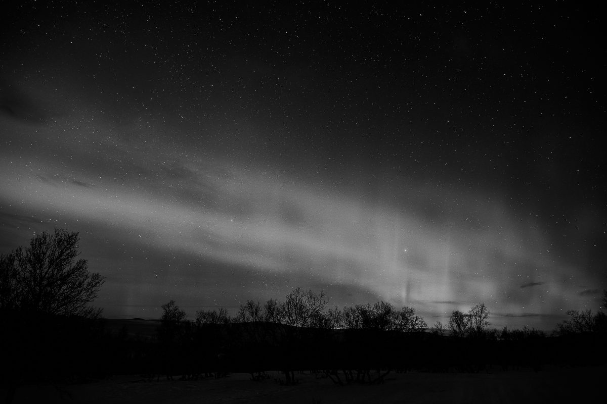 photo en noir et blanc d'une aurore boréale